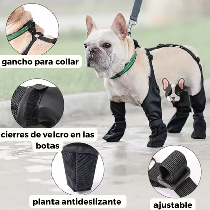 PawGuard: Protege las huellitas de tu mascota