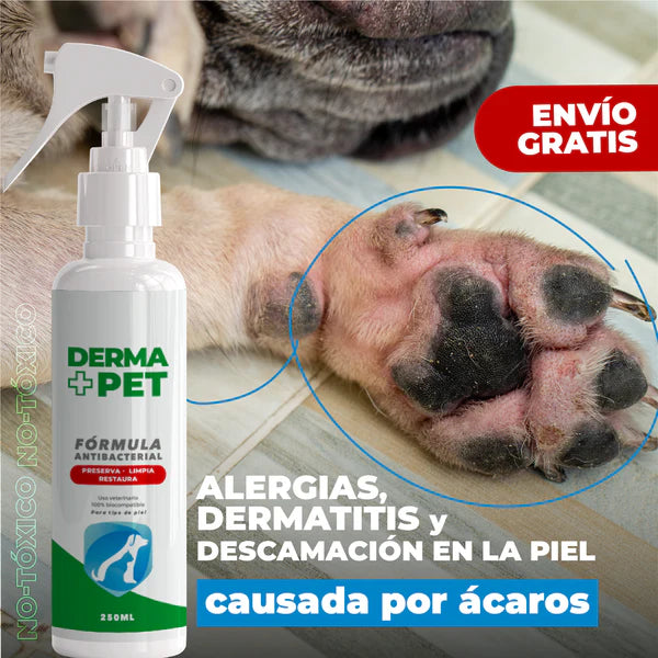 DermaPet®: 🐕Solución efectiva a los hongos y costras en la piel de tu mascota