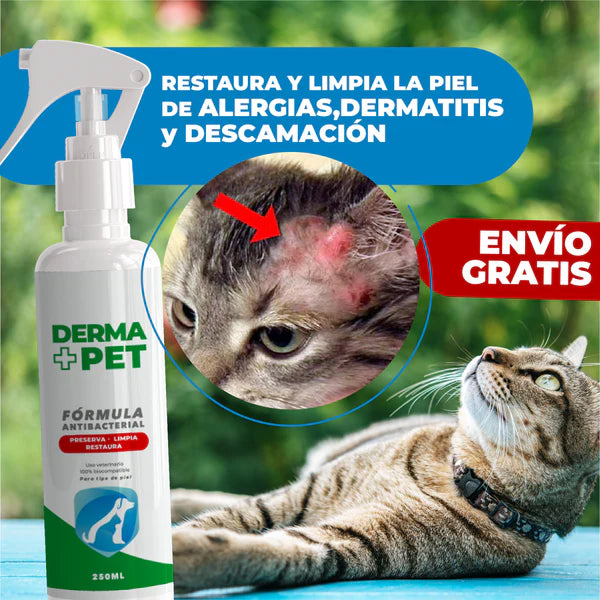 DermaPet®: 🐕Solución efectiva a los hongos y costras en la piel de tu mascota